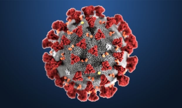 coronavirus